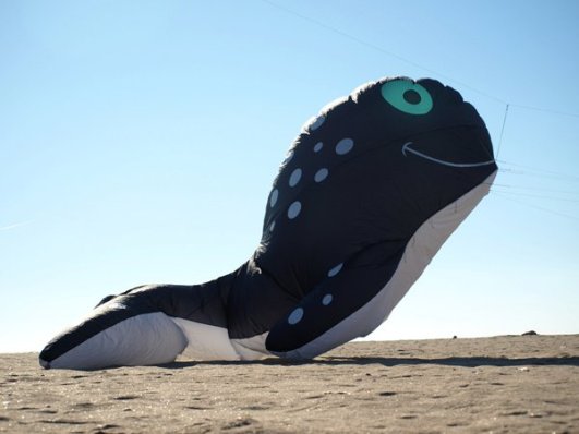 166478_498652365749_2146636_n