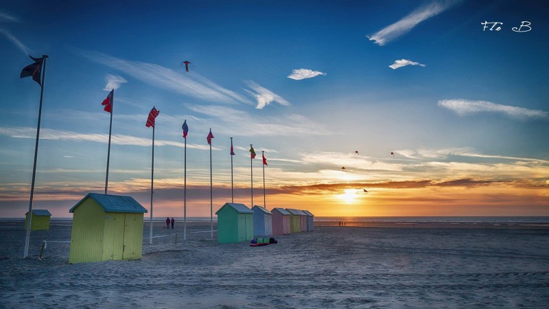 12967484_1668936876705152_4610144804699985488_o (Copier)