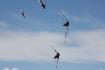 13015584_10153625645003175_7346492124923132565_n (Copier)