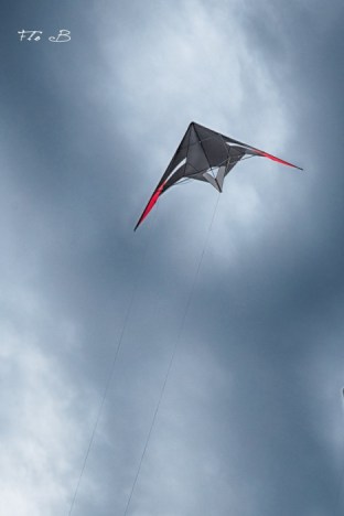 12986871_1671195163145990_1290748169_o (Copier)