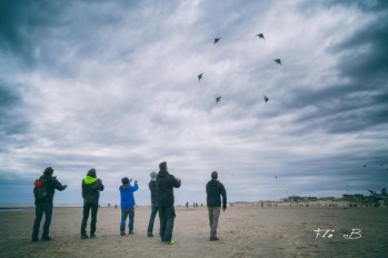 13016893_1671195196479320_1285879438_o (Copier)