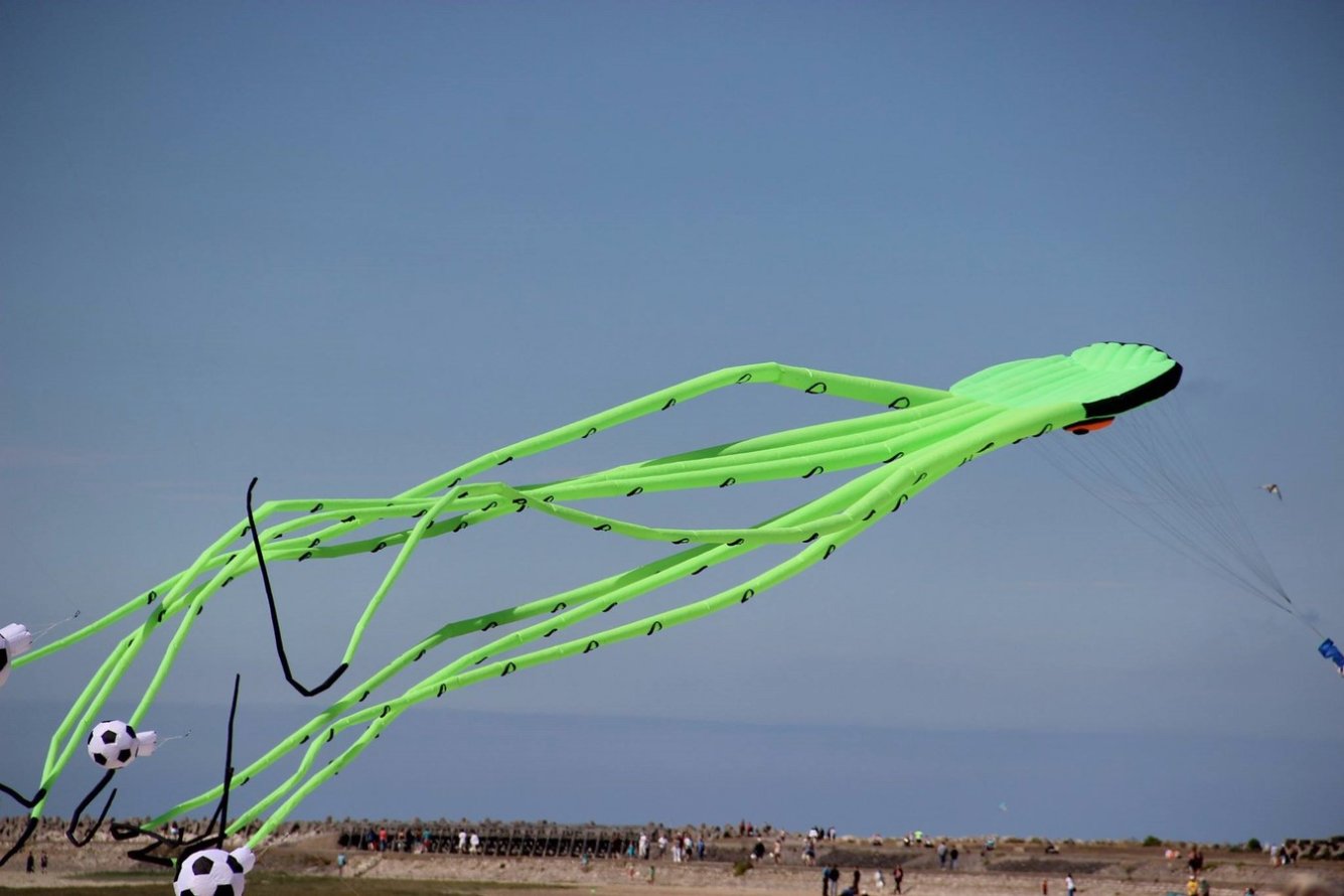 Grand-Fort-Philippe en 2016