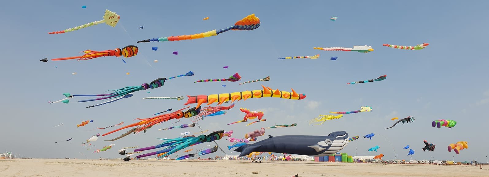 52583900_10156897677457226_1733090943990497280_o