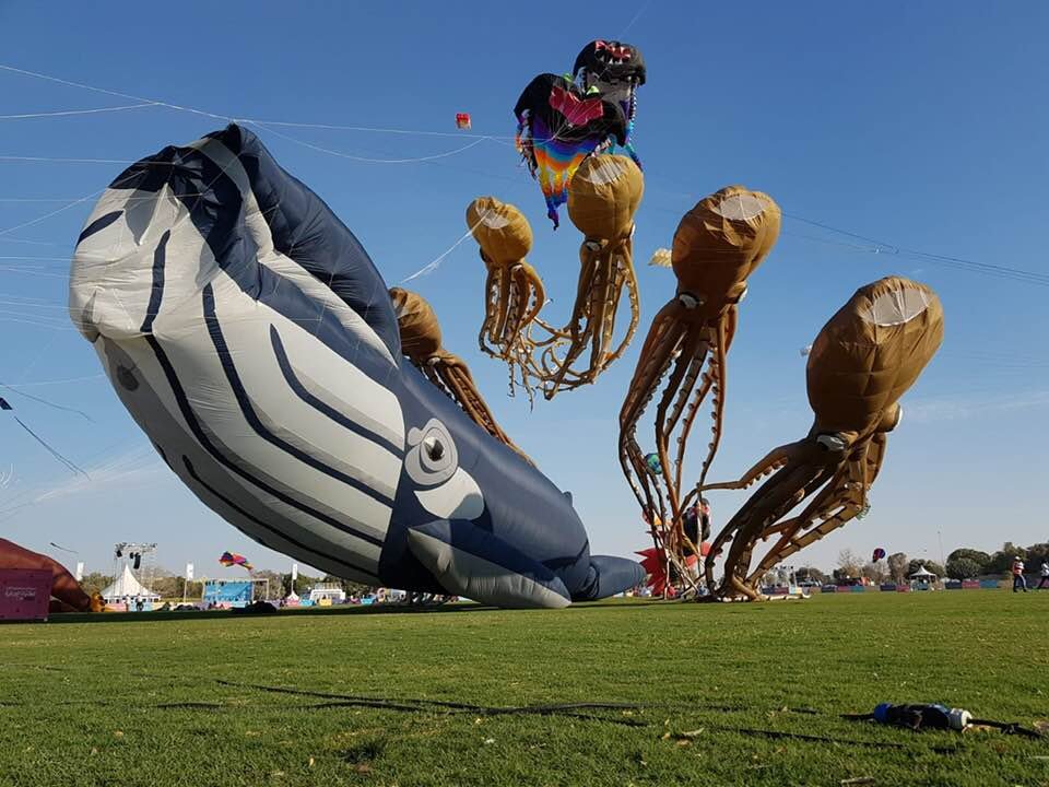 53514205_10217233939655761_4863375508609433600_n